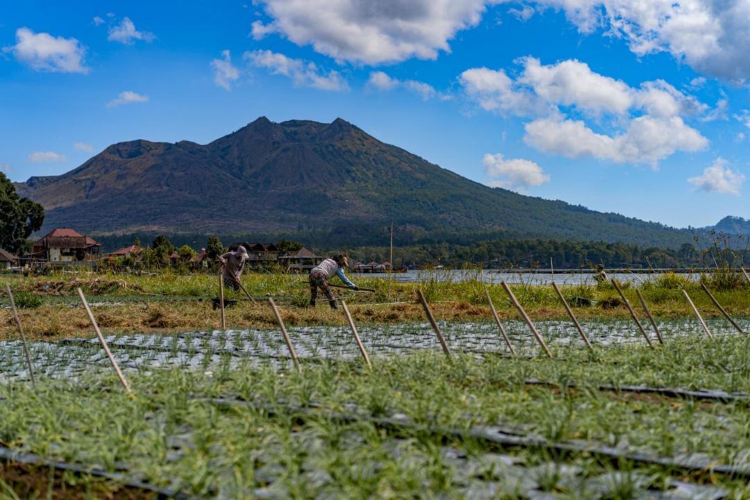Pondok Manoka Kintamani Esterno foto